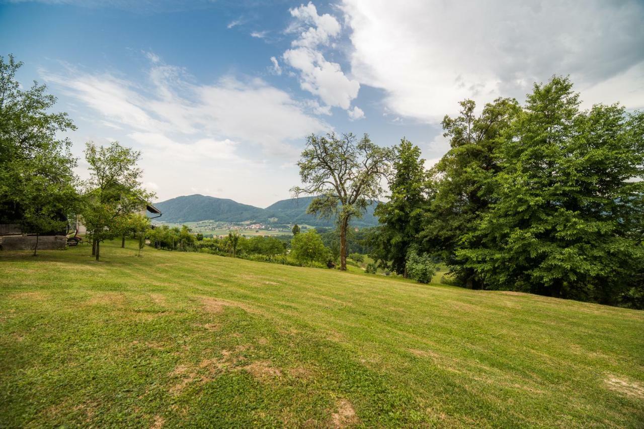 Sunny House With Sauna Bistrica ob Sotli Экстерьер фото